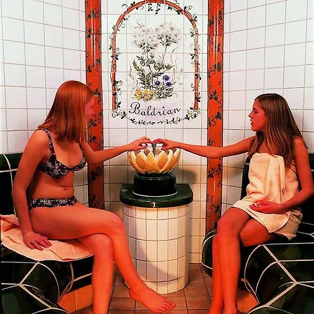 Seehotel Wassermann 3*